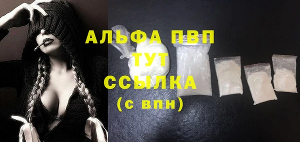 мдпв Магас