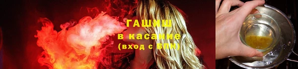 мдпв Магас