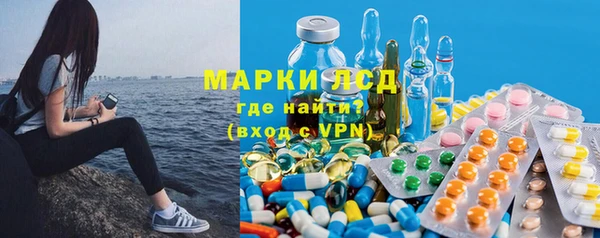 мдпв Магас