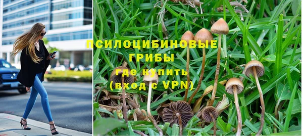 мдпв Магас