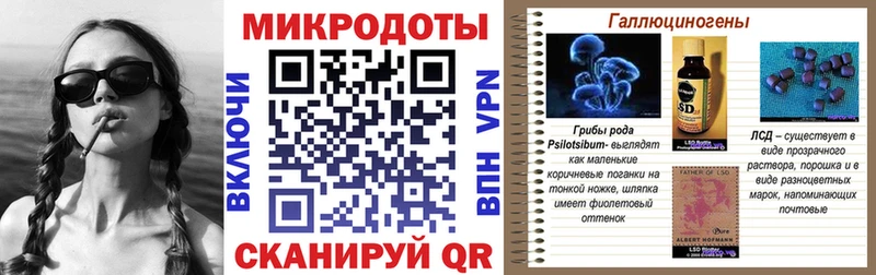 KRAKEN ONION  Циолковский  Галлюциногенные грибы GOLDEN TEACHER 